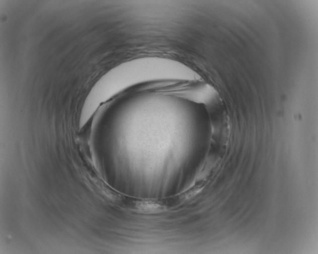 X0000083610380200702260934