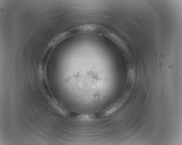 X0000083610381200702260934