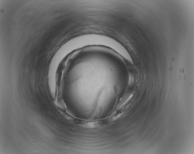 X0000083610382200702260934