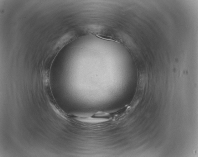 X0000083610383200702260934