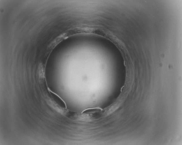 X0000083610384200702260934