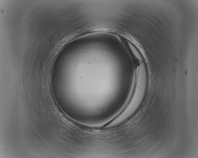 X0000083610385200702260933