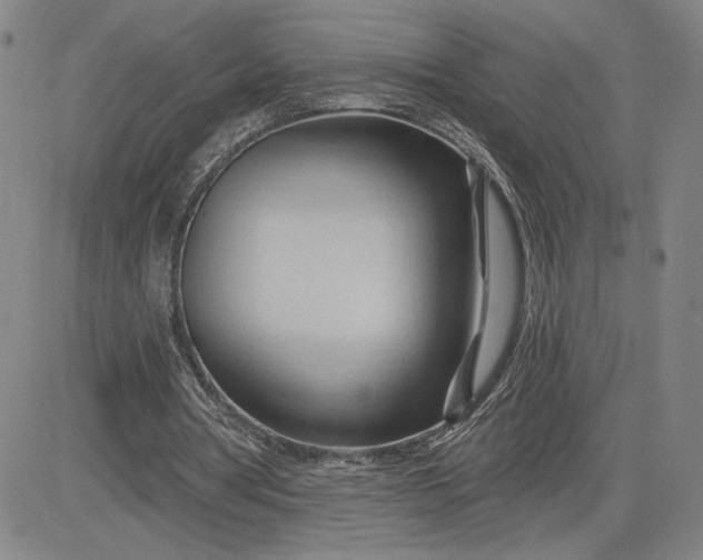 X0000083610386200702260933