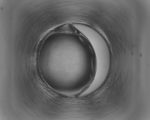 X0000083610387200702260933