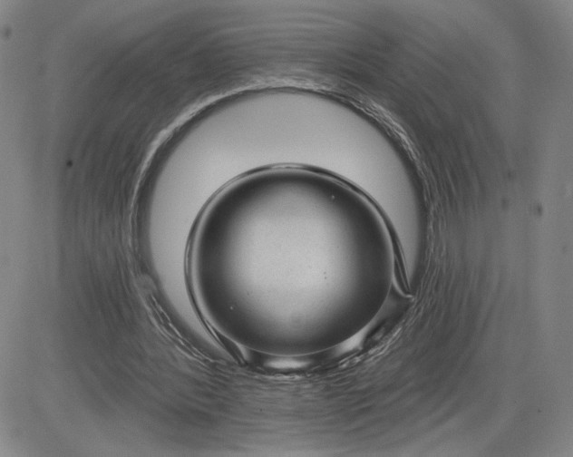 X0000083610388200702260933