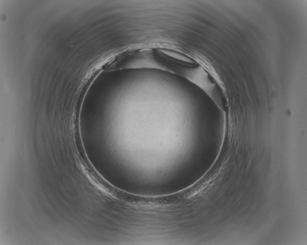 X0000083610389200702260933