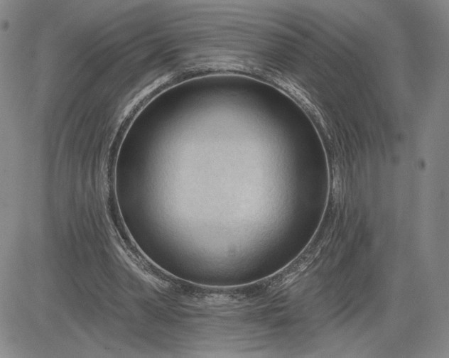 X0000083610390200702260933