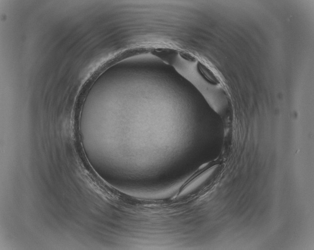 X0000083610391200702260933