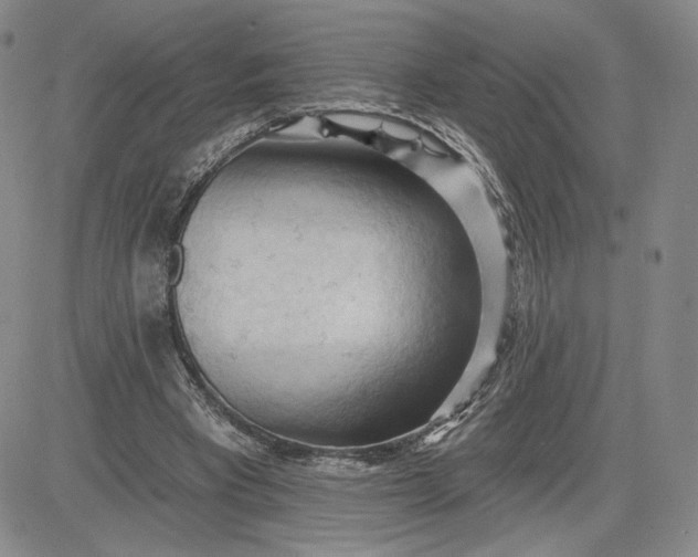 X0000083610393200702260933