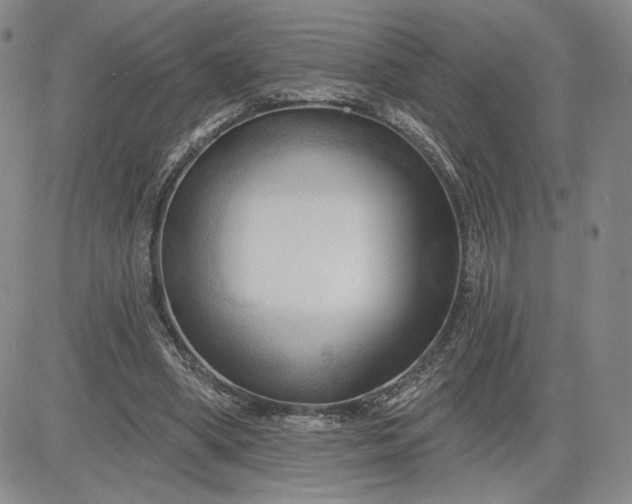 X0000083610394200702260933