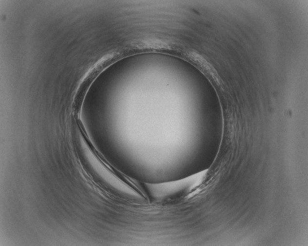 X0000083610395200702260933