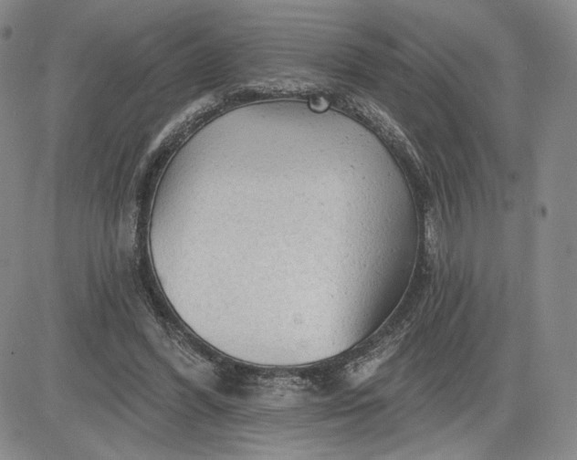 X0000083610396200702260933