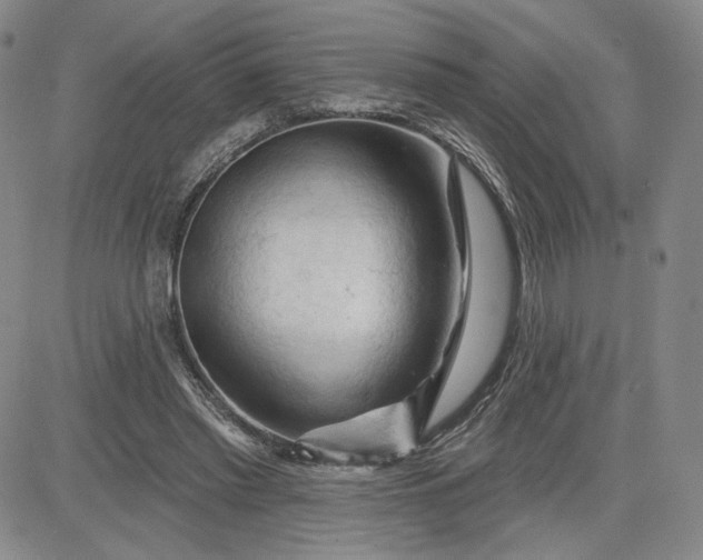 X0000083610397200702260933