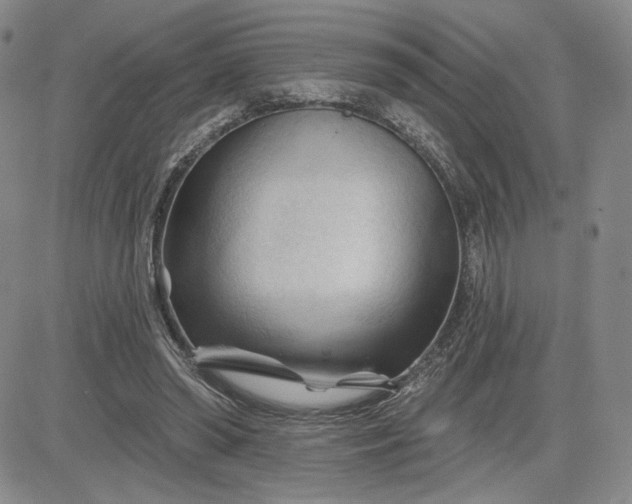 X0000083610398200702260933