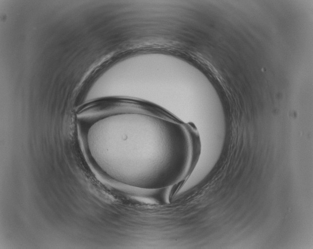 X0000083610400200702260933