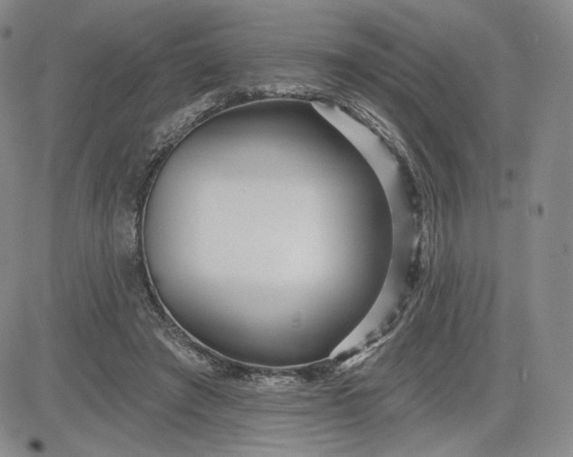 X0000083610401200702260933