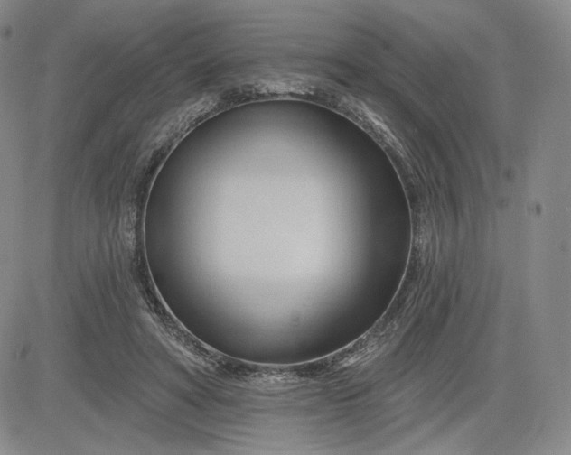 X0000083610402200702260933