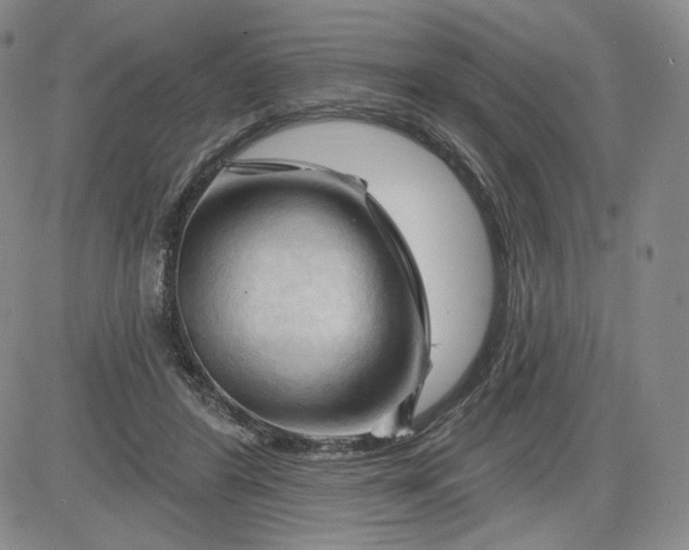 X0000083610404200702260933