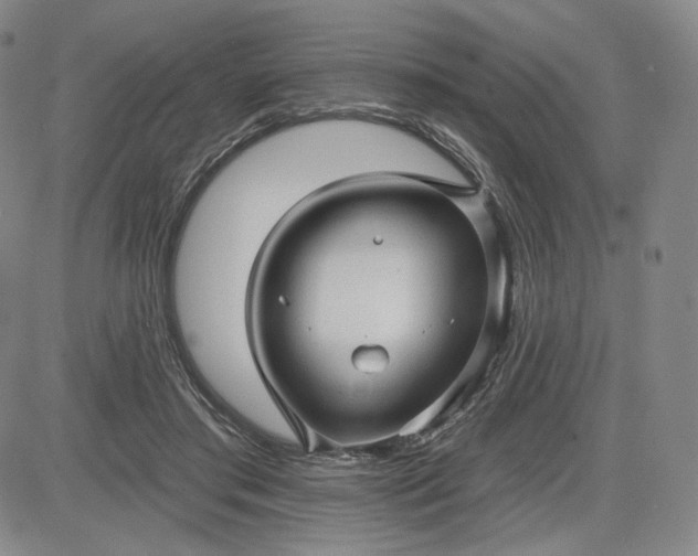 X0000083610405200702260933