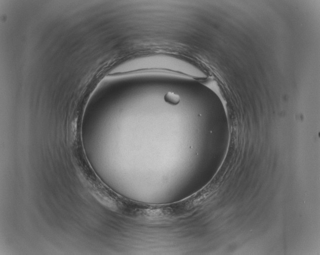 X0000083610406200702260933