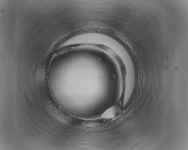 X0000083610407200702260933