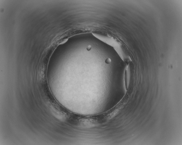 X0000083610408200702260933