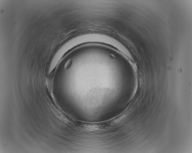 X0000083610409200702260933