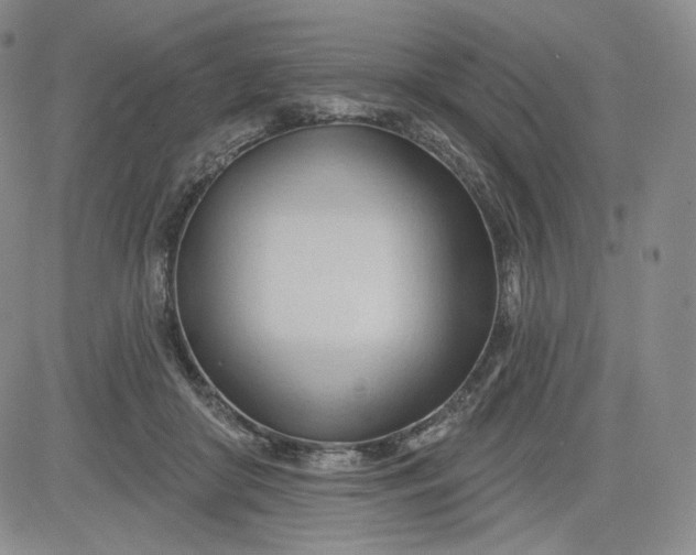 X0000083610410200702260933