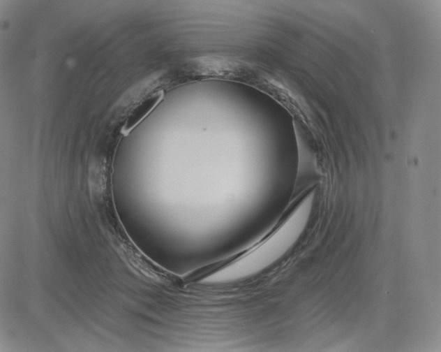 X0000083610413200702260933