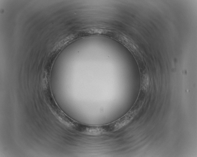 X0000083610414200702260933