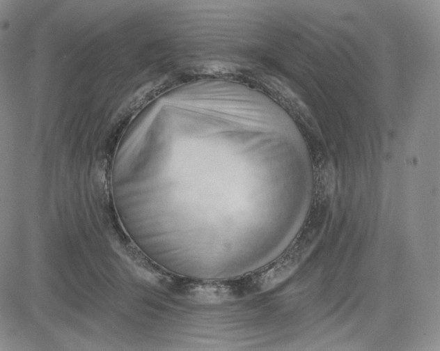 X0000083610415200702260933