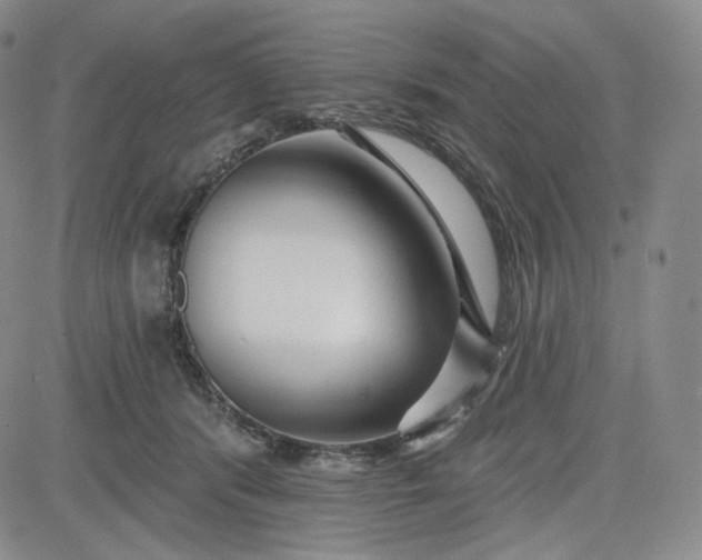 X0000083610416200702260933