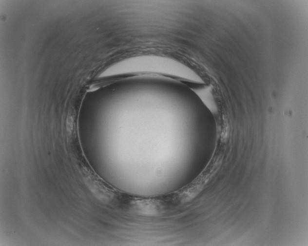 X0000083610417200702260933