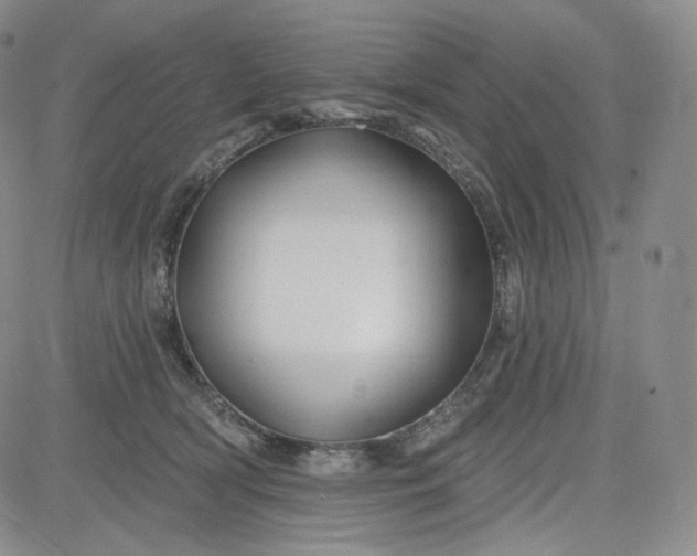 X0000083610418200702260933