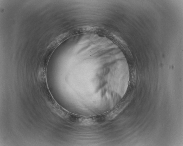 X0000083610419200702260933