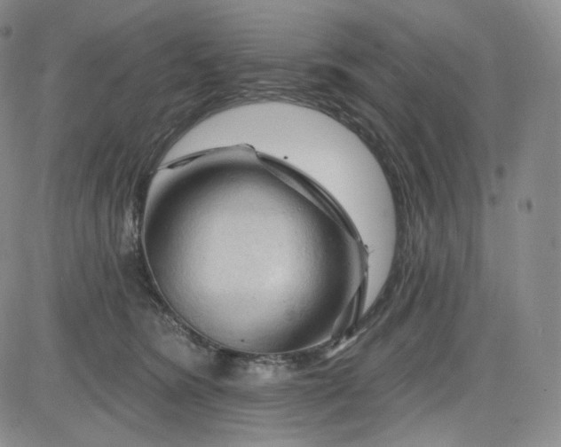 X0000083610420200702260933