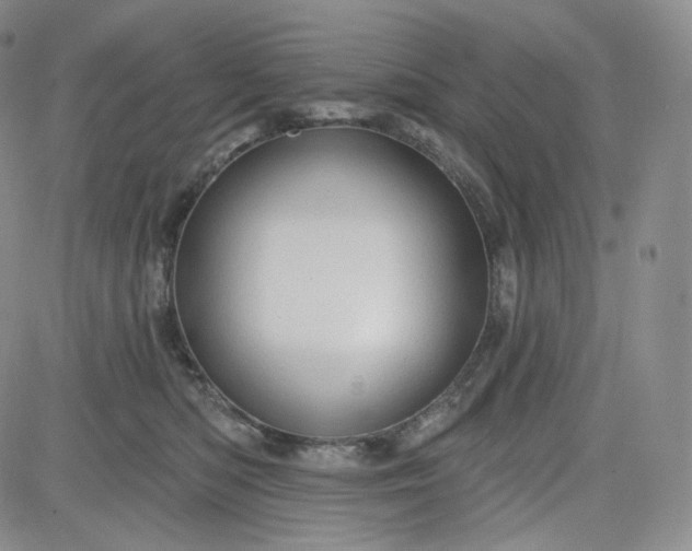 X0000083610422200702260933