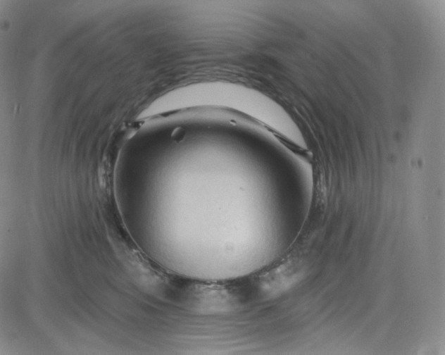 X0000083610424200702260933