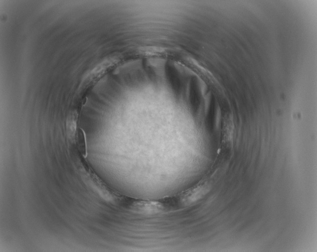 X0000083610427200702260933