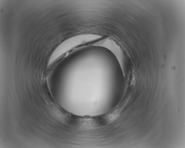 X0000083610428200702260933