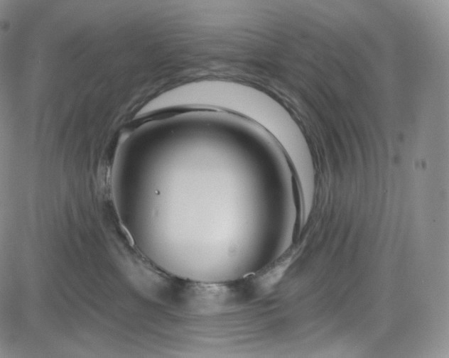 X0000083610429200702260932