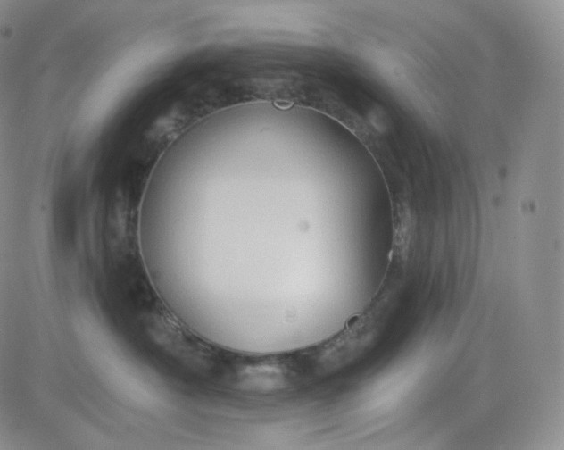 X0000083610430200702260932