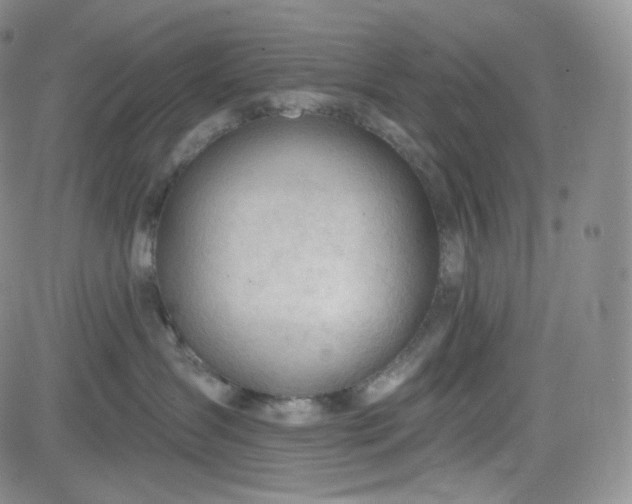 X0000083610431200702260932