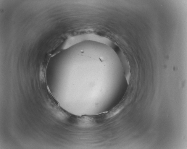 X0000083610432200702260932