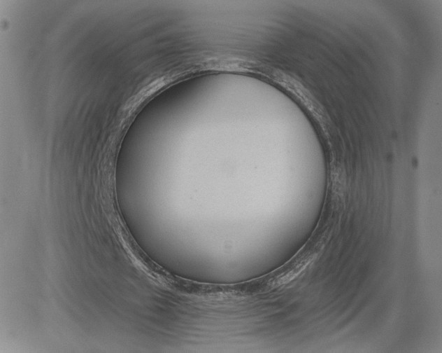 X0000083610433200702260932