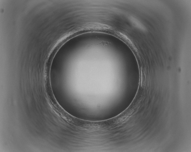 X0000083610435200702260932