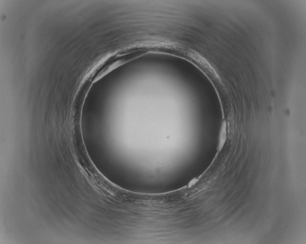 X0000083610436200702260932