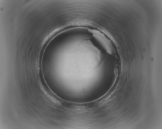 X0000083610438200702260932