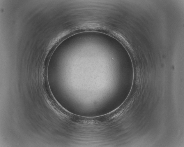 X0000083610439200702260932