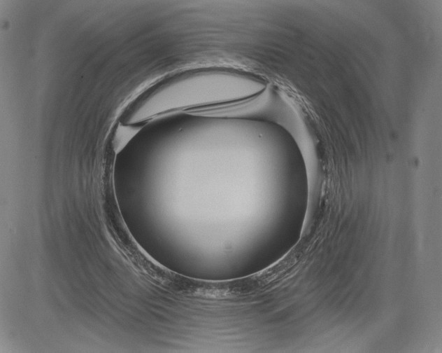 X0000083610440200702260932